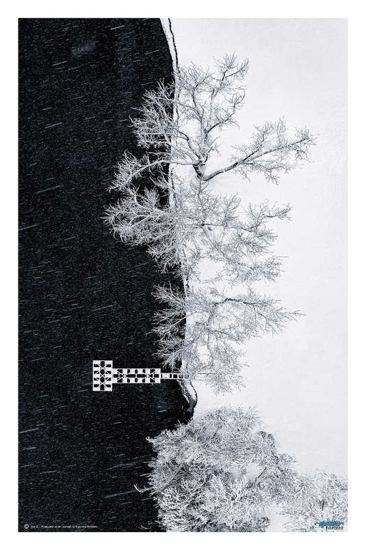 Lake Shore under Snow Storm by Mei Xu  - Photography poster