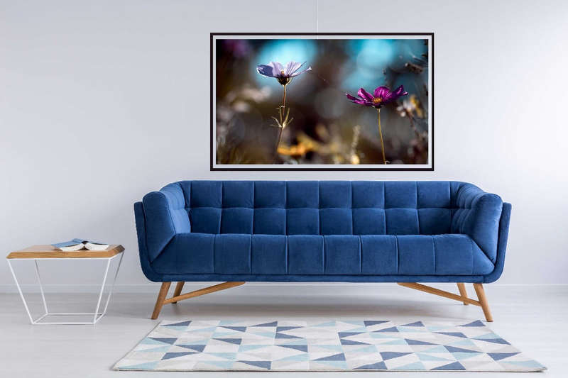 Le Lien by Fabien Bravin - Nature Photography poster