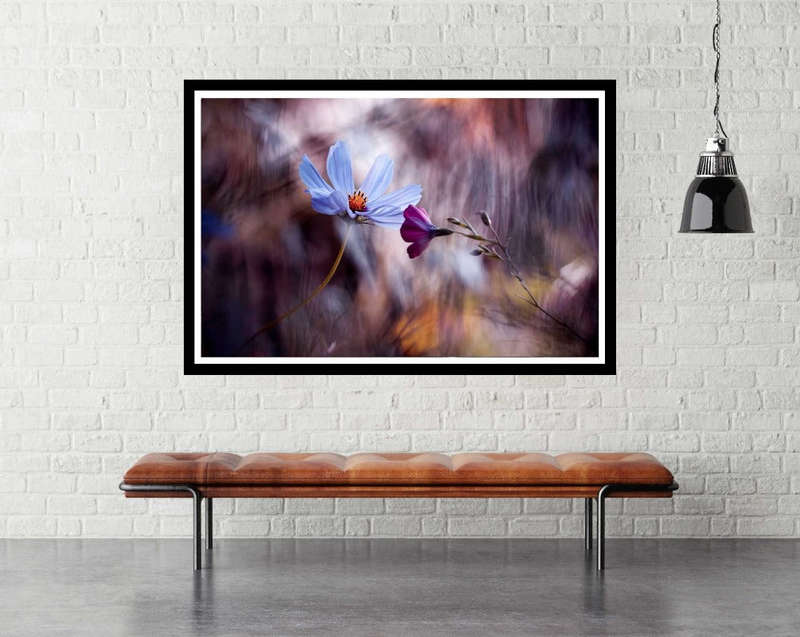 Le rendez vous by Fabien Brovin - Nature Photography poster