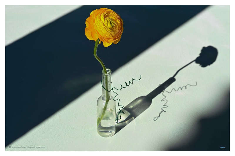 Light and Shade by Donatello Basso - Photography Poster