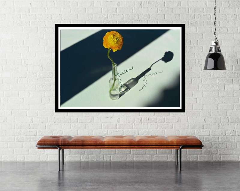 Light and Shade by Donatello Basso - Photography Poster