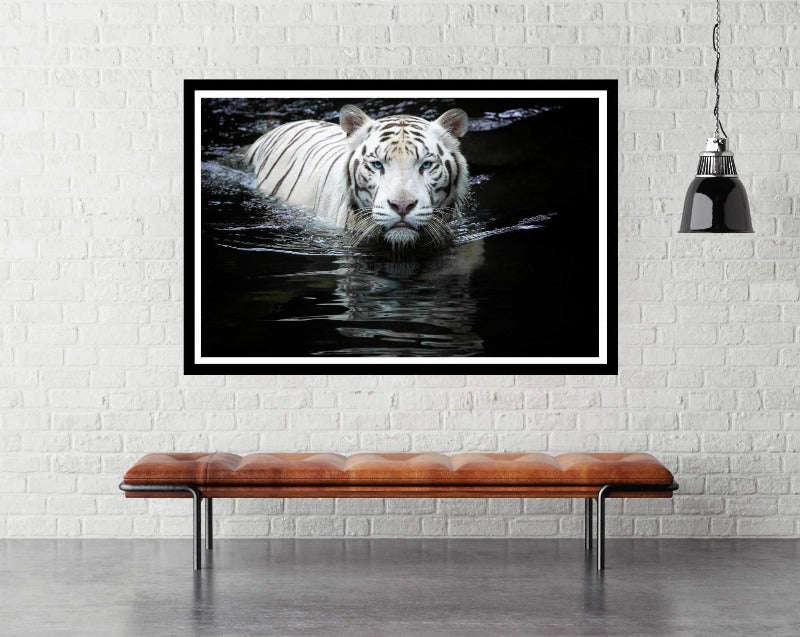 Looking at Me Looking at You by Renee Doyle, Wildlife Poster 2021