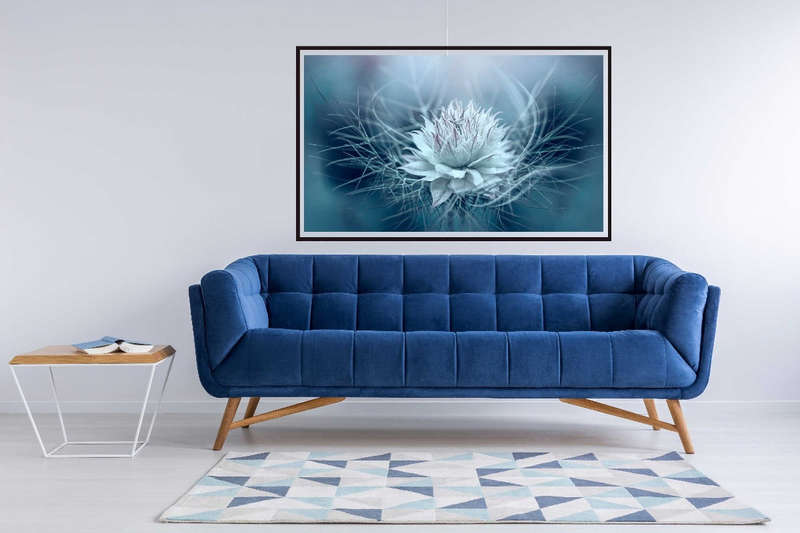 Love-in-a-mist by Mike Contoli - nature Photography poster