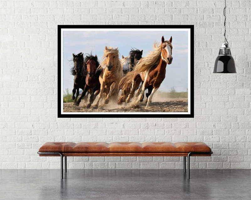 Lucky Six by Adam Wong - Horse Animal Photography Poster