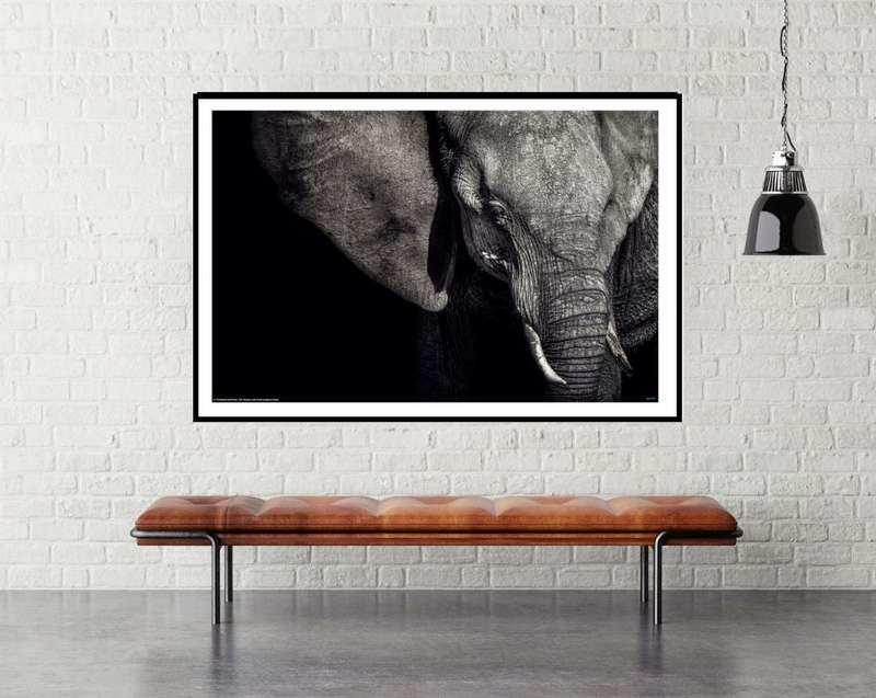 The Matriarch by Piet Flour - Wildlife Photography Poster