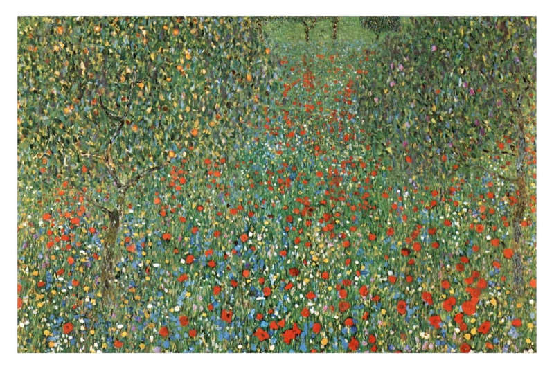Mohnfeld (Poppy Field) by Gustav Klimt - Art Poster