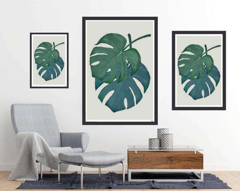 Monstera Aqua 05 leaves - Art Poster