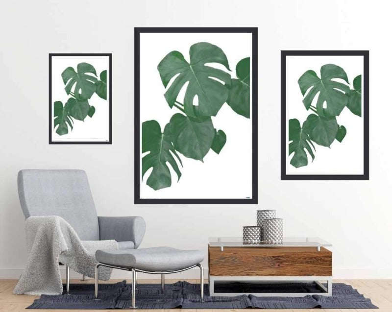Monstera Aqua 01 - Art Poster