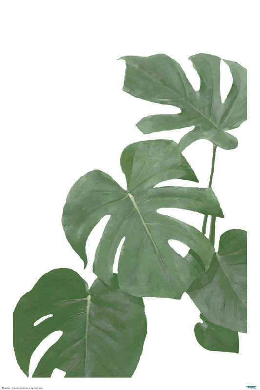 Monstera Aqua 03 - Art Poster