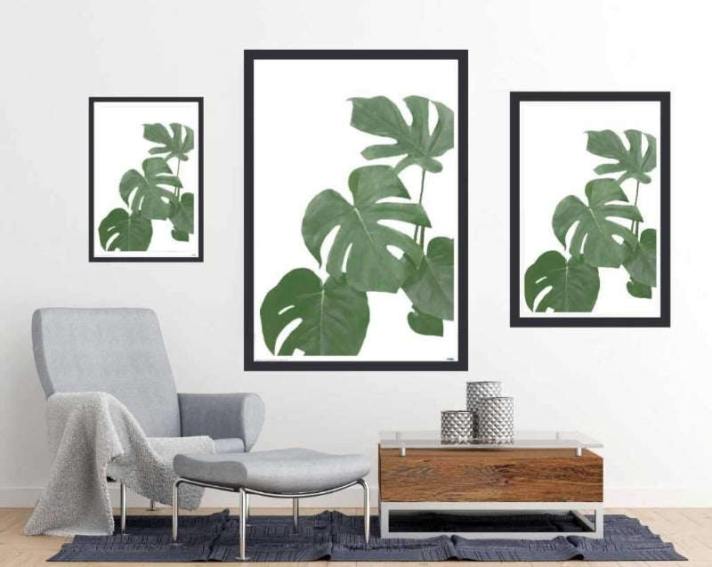 Monstera Aqua 03 - Art Poster