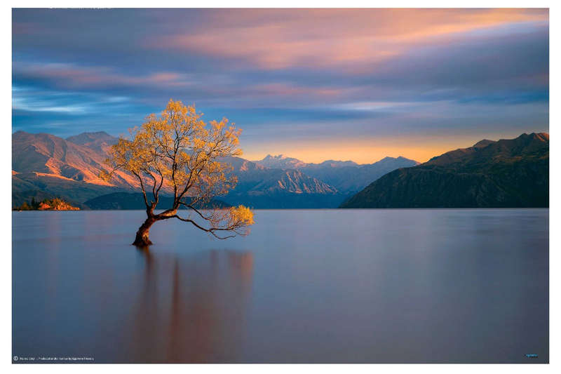 Morning Glow - Renee Doyle  - Landscape  Photography poster