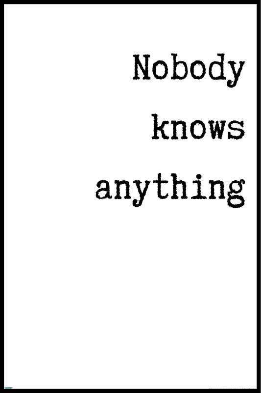 EgoAmo Original - Nobody Knows Anything Poster