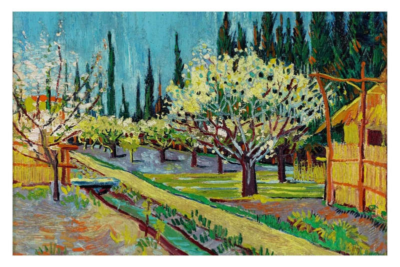 Orchard Bordered by Cypresses by Vincent van Gogh - Art poster