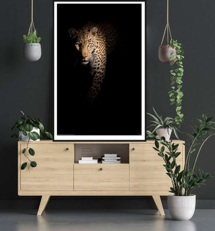 Out of the Darkness by Richard Guijt - Wildlife Photography Poster
