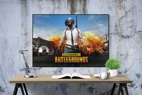 PUBG - Playerunknown Poster