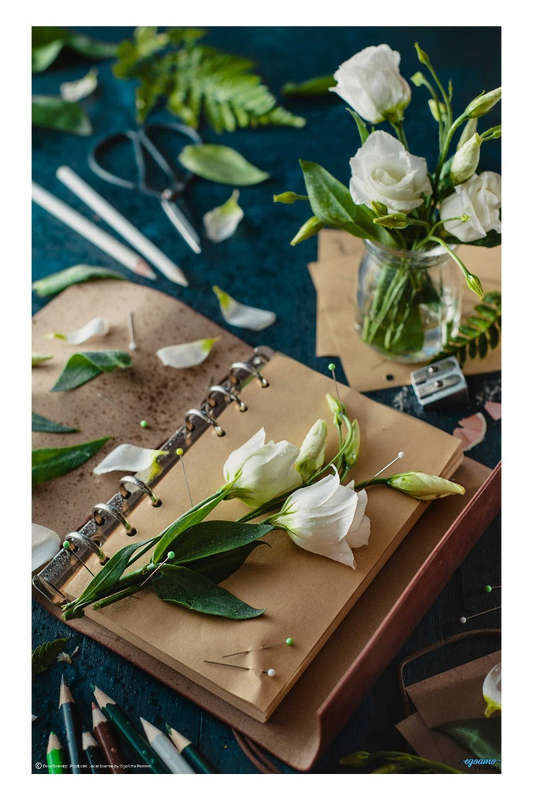 Painting flowers: pins and pencils by Dina Belenko - Still Life Photography poster