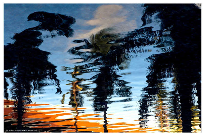 Palm Reflections by Tim Mossholder - Photography Poster