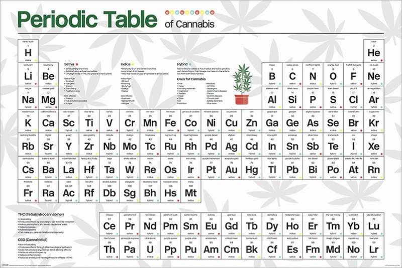 Periodic Table of Cannabis Poster