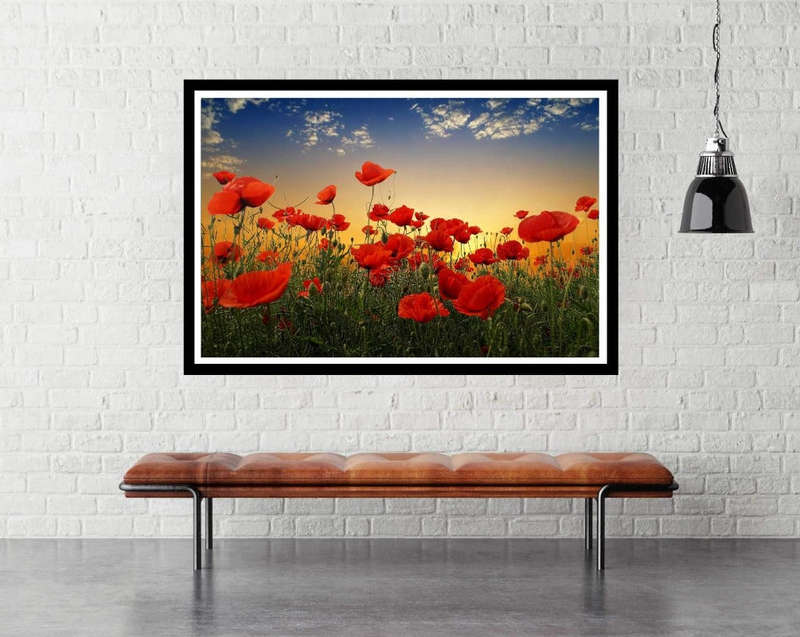 Poppies by Albena Markova Art Photography poster