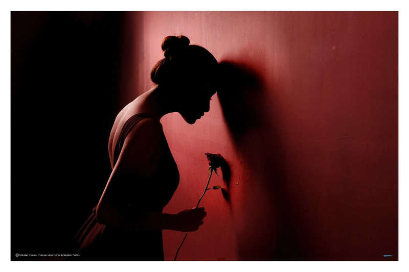 Red Rose 3 by Sebastian Kisworo  - Photography poster