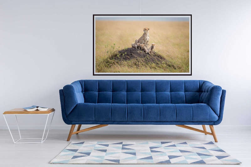 Regal Protector by Ted Taylor - Wildlife Photography poster