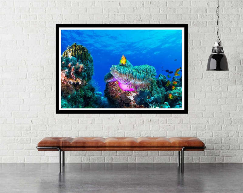Sea Life by Roberto Marchegiani - Ocean Photography poster