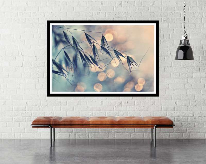 Seed pod fairy lights by Dimitar Lazarov - nature Photography poster