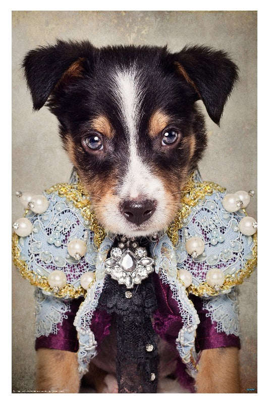 Shelter Pets: Loki with Frills by Tammy Swarek - Surrealism Art Poster