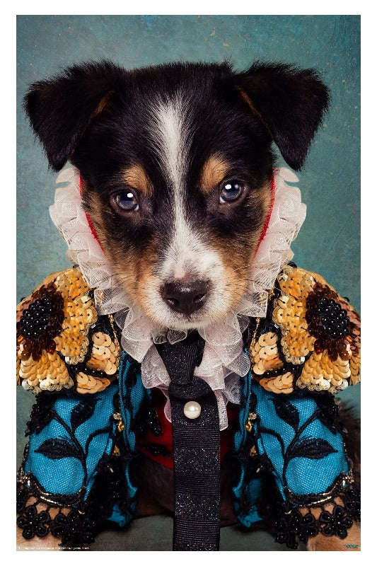 Shelter Pets: Loki by Tammy Swarek - Surrealism Art Poster
