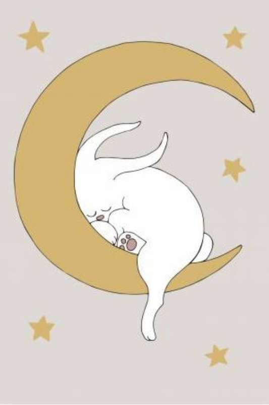 Sleeping on the Moon - Kids Illustration Poster