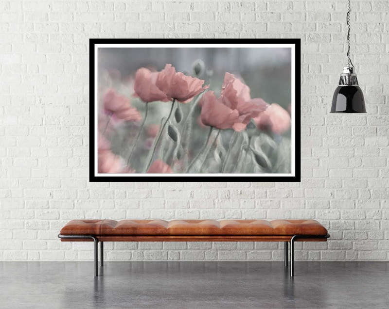 Softly by Anne Worner - Flower Photography poster