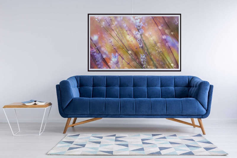 Something Magical by Delphine Devos- Nature Photography poster