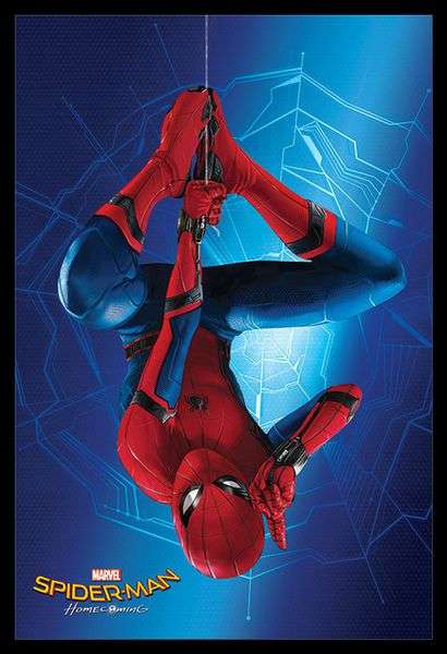Spider-Man Homecoming - Hanging - Poster - Poster only