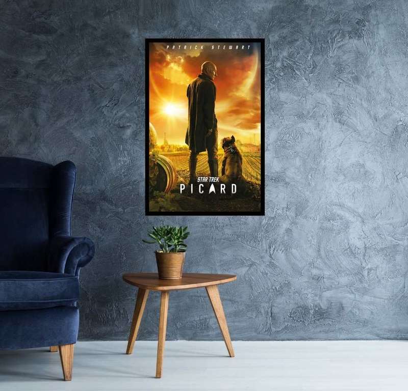 Star Trek - Picard TV Series Poster
