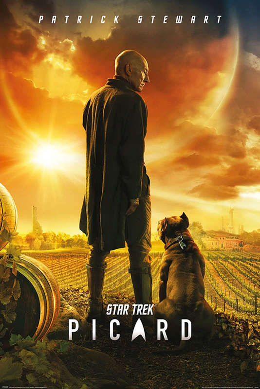 Star Trek - Picard TV Series Poster