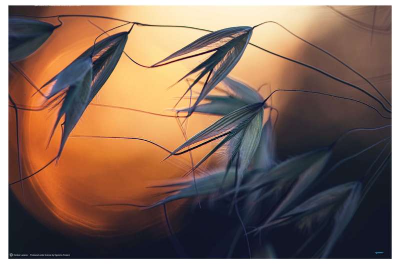 Sunset by Dimitar Lazarov - nature Photography poster