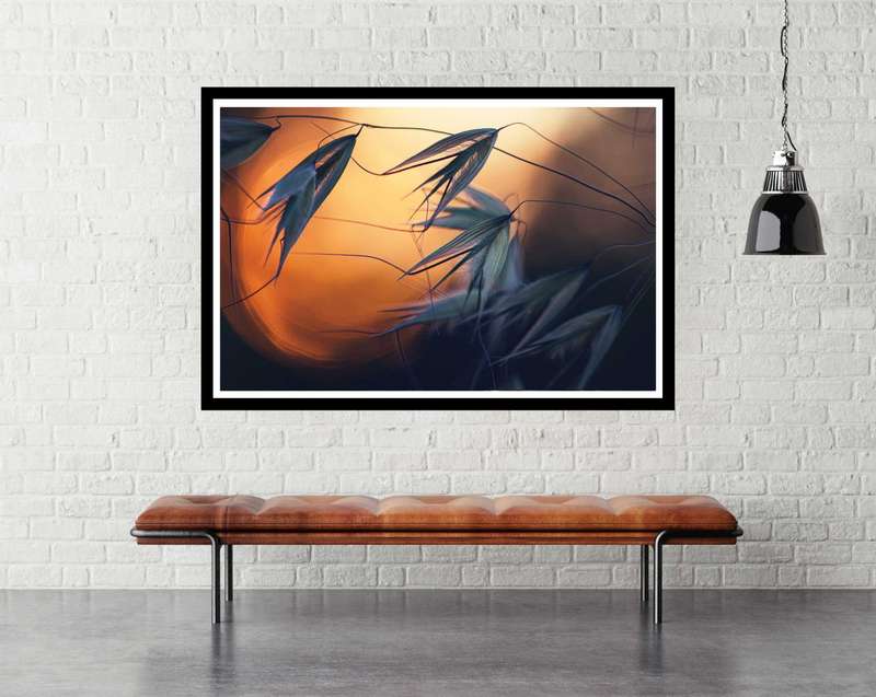 Sunset by Dimitar Lazarov - nature Photography poster