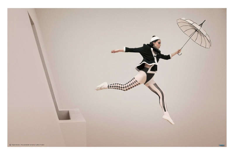 The Jump by Christine von Diepenbroek - Photography poster