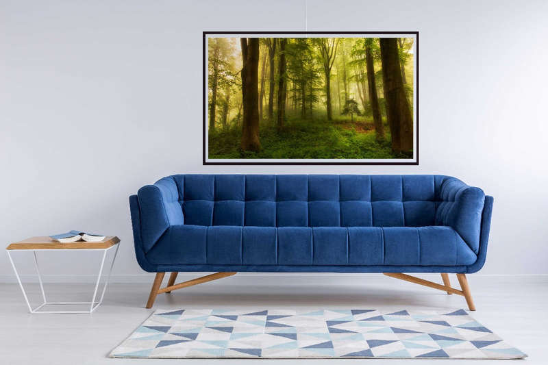The Little Tree by Leif Londal  - Landscape  Photography poster