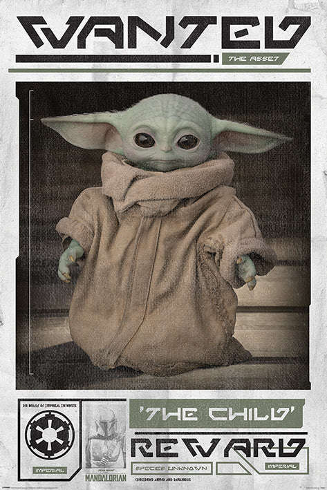 Star Wars: The Mandalorian - Wanted the Child Poster