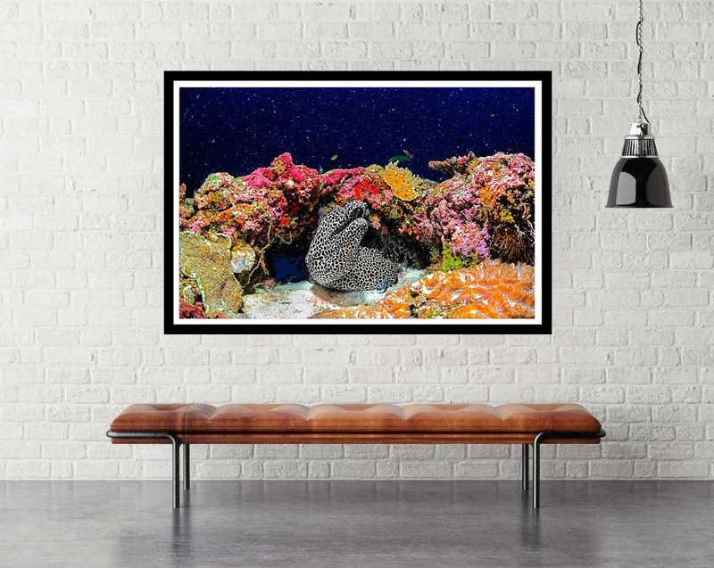 Under the Star by Roberto Marchegiani - Ocean Photography Poster
