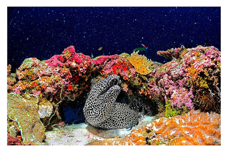 Under the Star by Roberto Marchegiani - Ocean Photography Poster