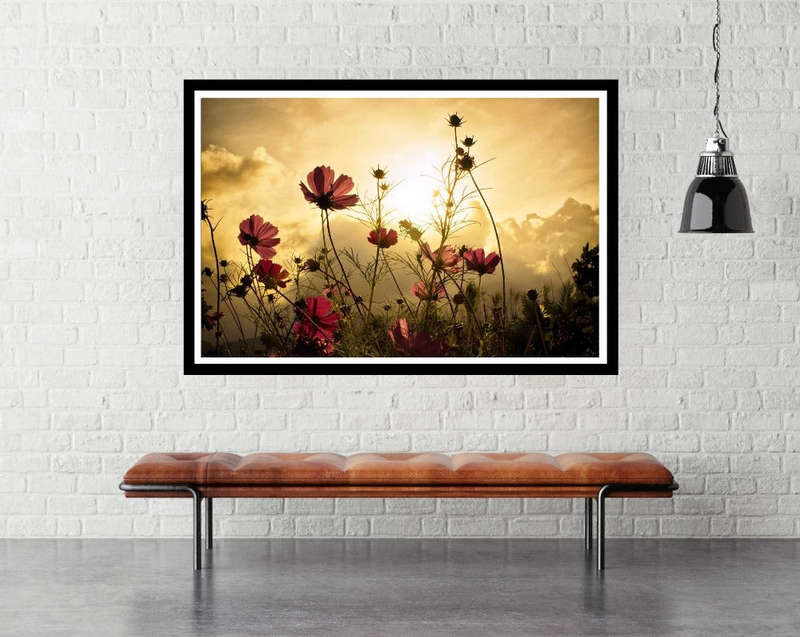 Watching the Sun by Christian Marcel - flower photograph poster