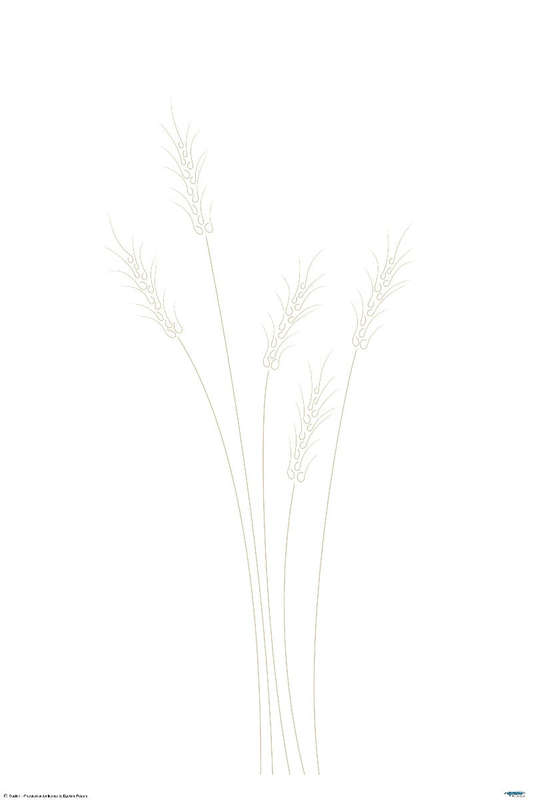 Wheat Grass - Art Poster