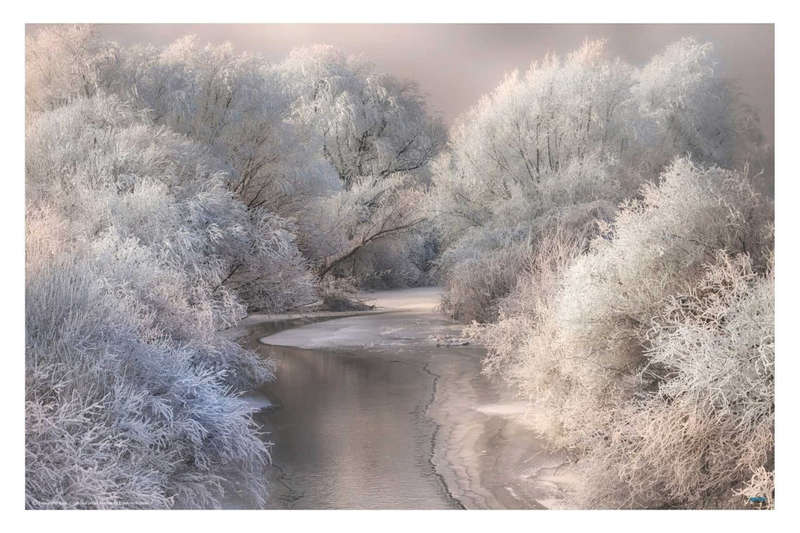 Winter Song by Sebestyen Bela - Landscape Photography poster