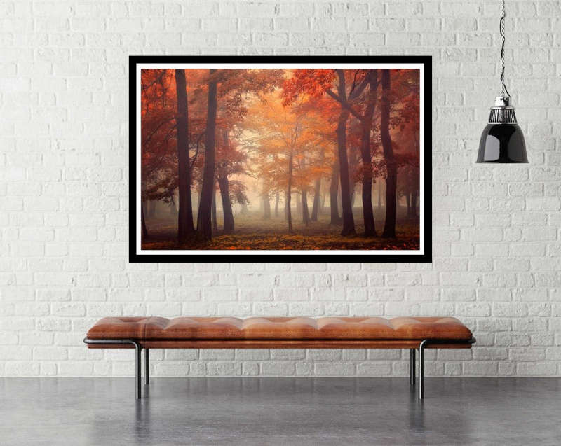 Feel by Ildiko Neer - Nature Photography poster
