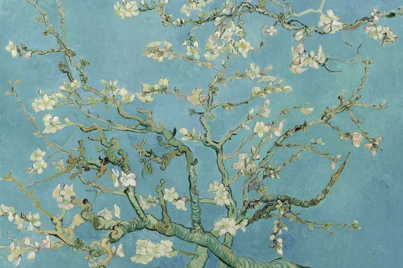 Vincent Van Gogh - Almond Blossom (1890) Poster