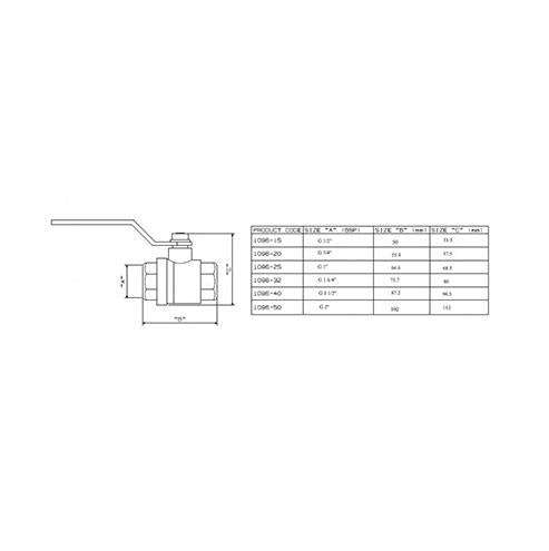 Cobra Isolating Ball Valve