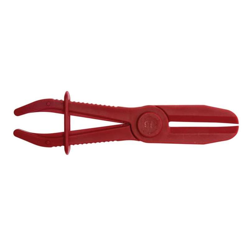 Hose Clamp Large