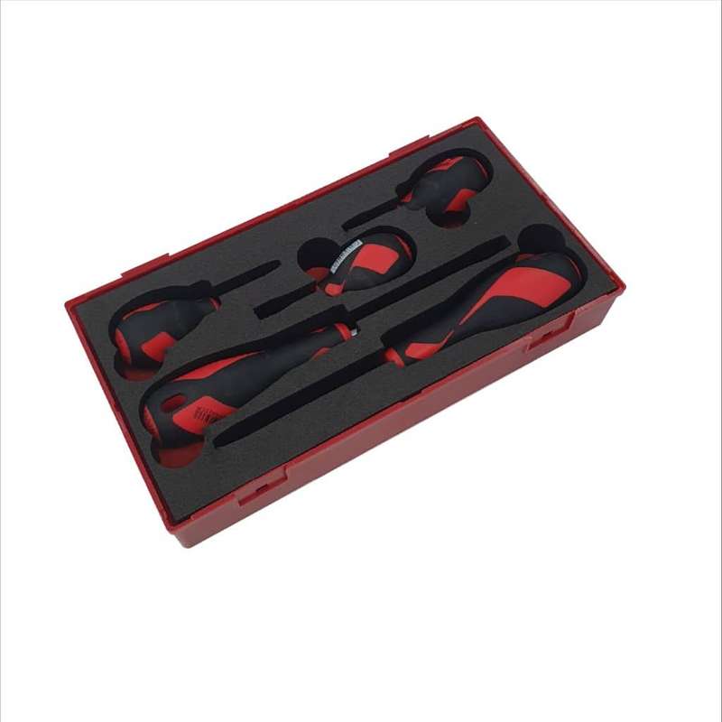 5PC Screwdriver Set in EVA